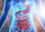Optimizing Digestive Health Essential Tips from TGH Urgent Care powered by Fast Track