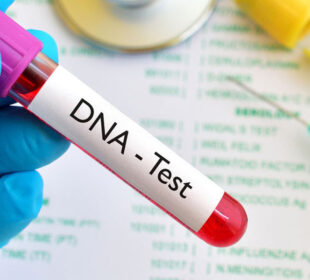 Building Stronger Family Foundations With Sibling DNA Testing